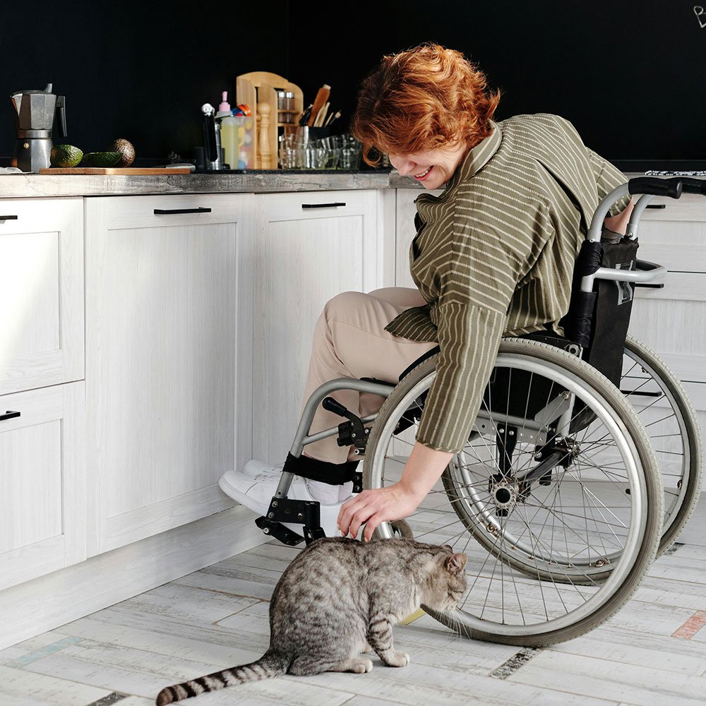 Woman in wheelchair petting a cat